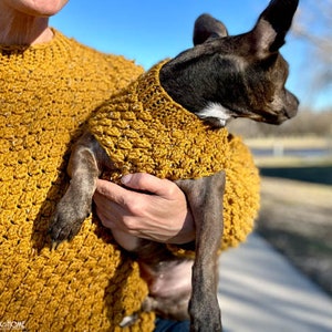 May include: A small brown dog wearing a mustard yellow crocheted sweater. The dog is being held by a person.
