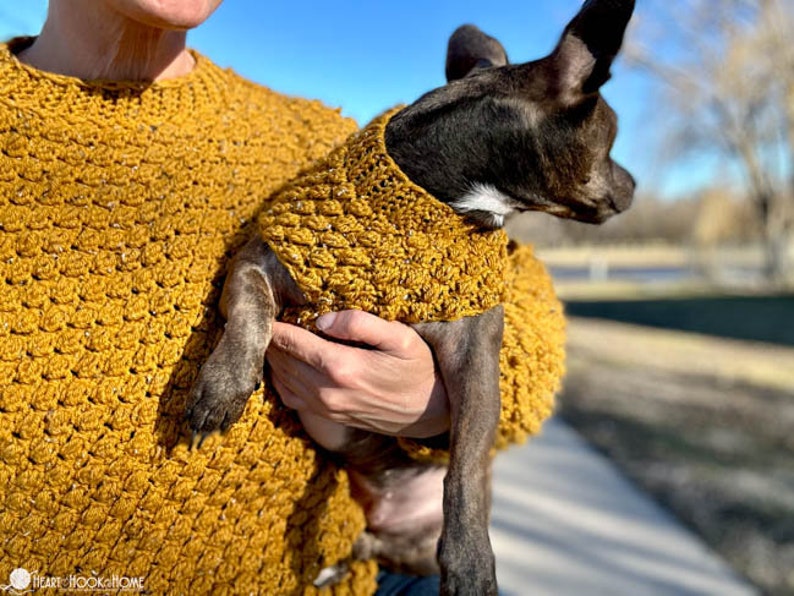 May include: A small brown dog wearing a mustard yellow crocheted sweater. The dog is being held by a person.