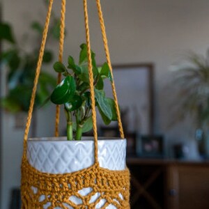 May include: A mustard yellow crocheted plant hanger with a white ceramic pot and a green plant inside. The hanger is hanging from the ceiling.