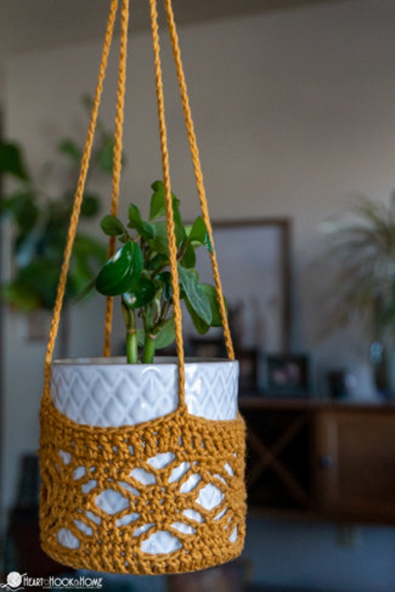 May include: A mustard yellow crocheted plant hanger with a white ceramic pot and a green plant inside. The hanger is hanging from the ceiling.