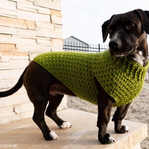 Crochet Dog Sweater Pattern – XS, S, M | Easy Dog Sweater PDF | Small Dog Crochet Pattern image 8