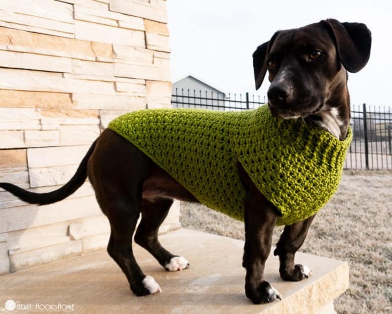 Crochet Dog Sweater Pattern – XS, S, M | Easy Dog Sweater PDF | Small Dog Crochet Pattern image 8