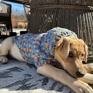 Puede incluir: Un perro de color claro lleva un su&eacute;ter tejido a mano con un patr&oacute;n multicolor de azul, morado, amarillo y naranja. El su&eacute;ter tiene una capucha. El perro est&aacute; tumbado sobre una alfombra estampada, al aire libre.