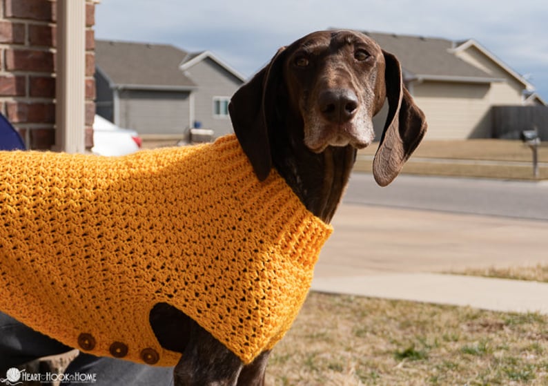 Large Dog Sweater CROCHET PATTERN image 3