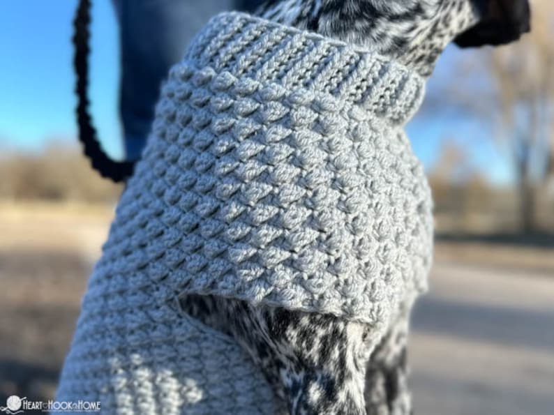 May include: A gray crocheted dog sweater with a textured pattern. The sweater is worn by a dog with black and white fur.