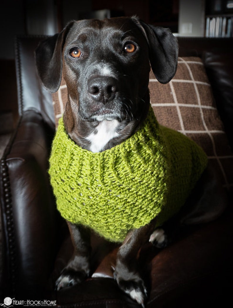 Dog Sweater CROCHET PATTERN image 7