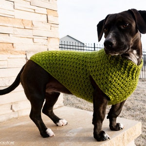 Pull pour chien MOTIF CROCHET image 2