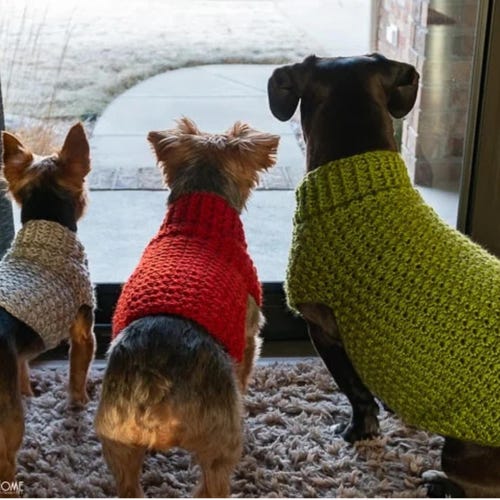 Crochet Dog Sweater Pattern – XS, S, M | Easy Dog Sweater PDF | Small Dog Crochet Pattern