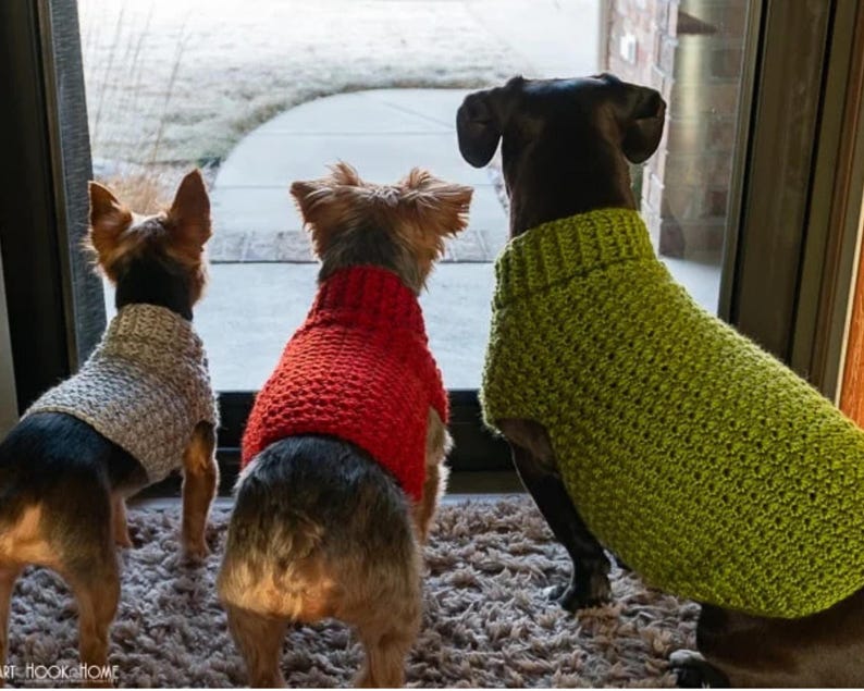 Crochet Dog Sweater Pattern – XS, S, M | Easy Dog Sweater PDF | Small Dog Crochet Pattern image 1