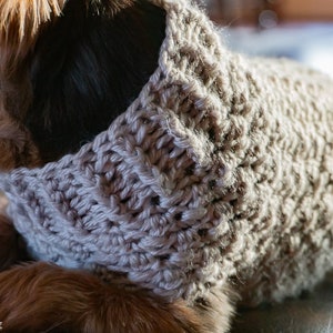 Dog Sweater CROCHET PATTERN image 4