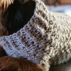 May include: A small dog wearing a knitted beige sweater. The sweater has a textured pattern and a high neckline.