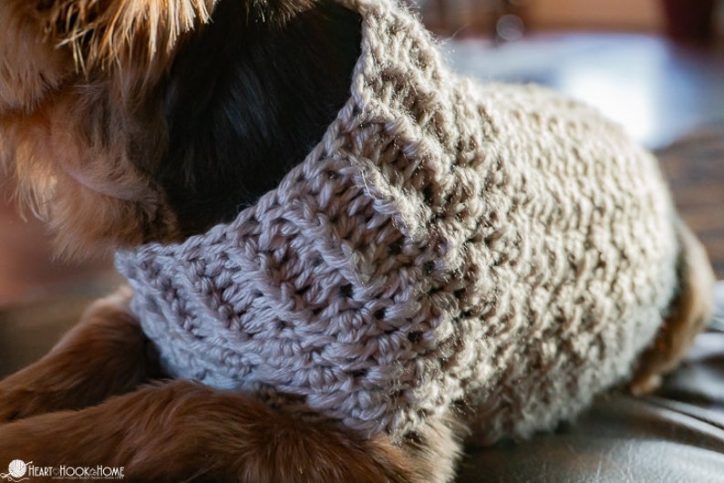 Pull pour chien MOTIF CROCHET image 4