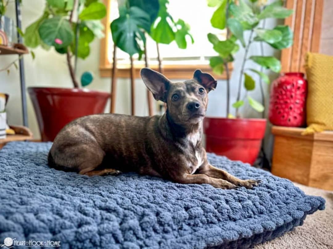 Dog Bed CROCHET PATTERN