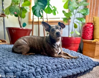May include: A brown and black brindle dog with white markings is lying on a blue, textured dog bed. The dog is looking at the camera with its head tilted. The dog bed is on a light brown carpet. There are plants in pots in the background.