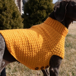 May include: A brown dog wearing a yellow crocheted sweater with buttons. The dog is standing in a grassy area.