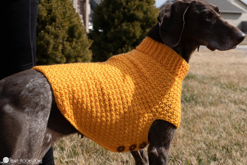 Large Dog Sweater CROCHET PATTERN image 2