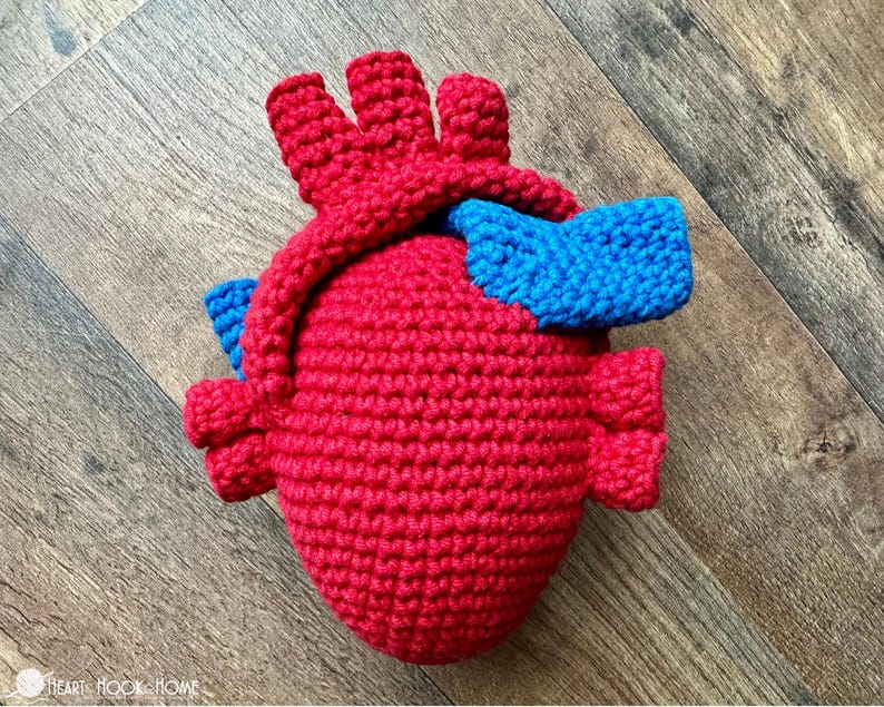 May include: A crocheted anatomical heart plush toy featuring a vibrant red main body with textured yarn stitches. The heart includes prominent blue crocheted vessels attached to the top and sides, mimicking the structure of a human heart.