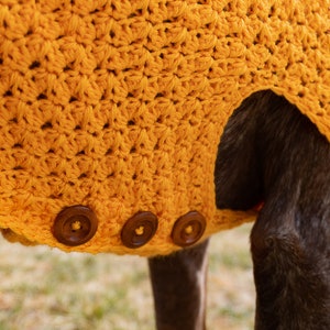 Large Dog Sweater CROCHET PATTERN image 4
