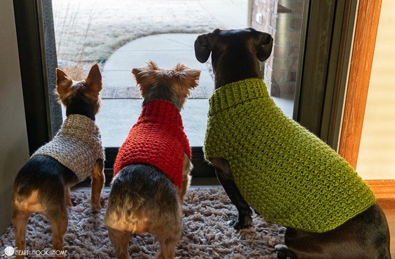 Pull pour chien MOTIF CROCHET image 1