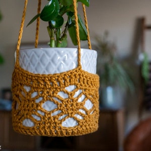 May include: A white ceramic planter with a mustard yellow crocheted hanging planter. The planter is hanging from a macrame cord.