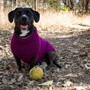 Stellar Hunde-Pullover **HÄKELANLEITUNG**