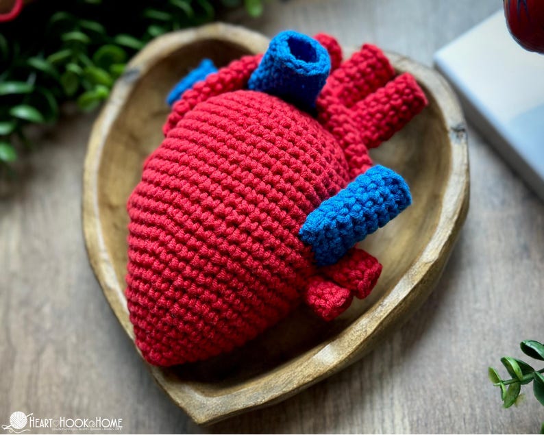 May include: A crocheted anatomical heart model featuring a textured red main body with prominent blue yarn vessels attached to the top and sides. The piece is crafted with visible yarn stitches and sits within a heart-shaped wooden bowl.