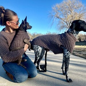 May include: Two dogs wearing brown knitted sweaters. One dog is a small black and brown dog being held by a person. The other dog is a larger black and white dog standing on a sidewalk.