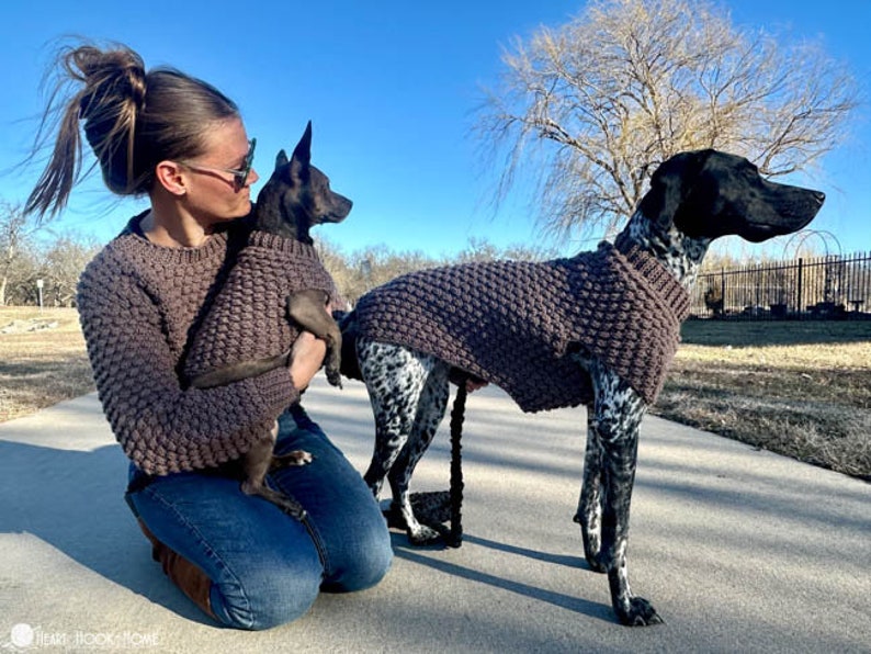 May include: Two dogs wearing brown knitted sweaters. One dog is a small black and brown dog being held by a person. The other dog is a larger black and white dog standing on a sidewalk.