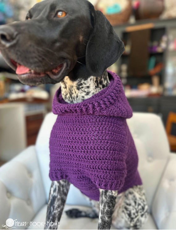 Easy Dog Hoodie Crochet Pattern | 7 Sizes | PDF Download | XXS - XXL