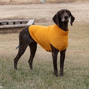 Large Dog Sweater ***CROCHET PATTERN*** / Printable PDF / Crochet for Dogs / Dog Pattern / Dog Sweater Crochet / Crochet Dog Sweater Pattern