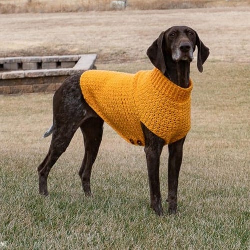 Patrón de ganchillo para suéter de perro grande y gigante / 4 tallas de L a 3XL / Patrón fácil para abrigo de perro en PDF / Patrón de ganchillo para perros de razas grandes