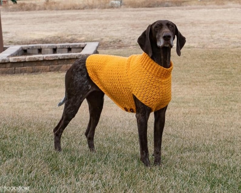 CROCHET PATTERN for Large & Giant Dog Sweater | 4 Sizes from L to 3XL | Easy Dog Coat Pattern PDF | Large Breed Dog Crochet Pattern image 1