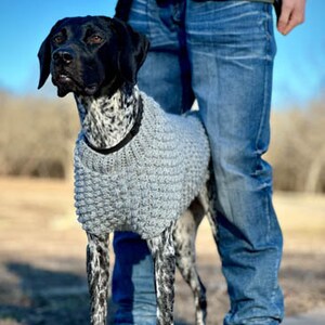 May include: A black and white dog wearing a gray knitted sweater. The dog is standing next to a person wearing blue jeans.