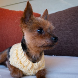 Stellar Dog Sweater image 3