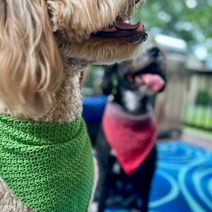 Padrão de crochê para bandana de cachorro | PDF fácil para bandana de pet | Acessório de crochê para cachorro | Padrão para iniciantes | Download instantâneo imagem 5