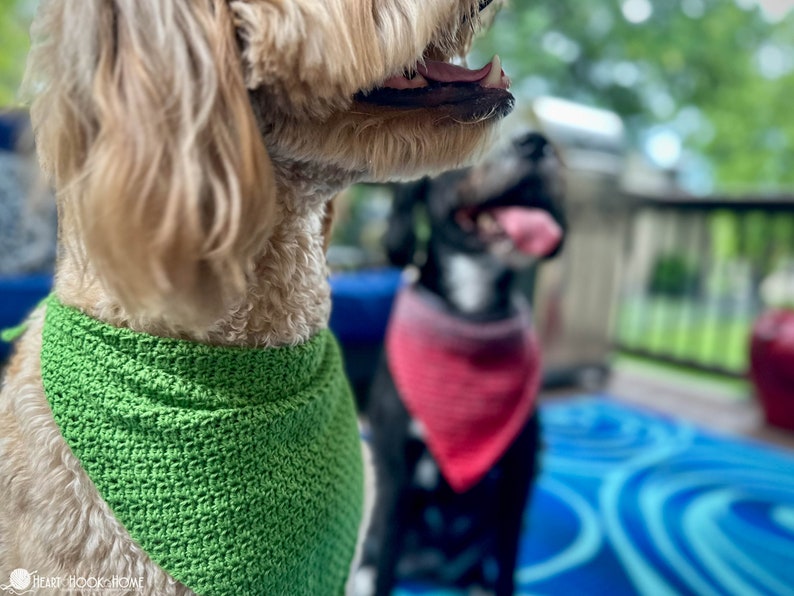 Padrão de crochê para bandana de cachorro | PDF fácil para bandana de pet | Acessório de crochê para cachorro | Padrão para iniciantes | Download instantâneo imagem 5