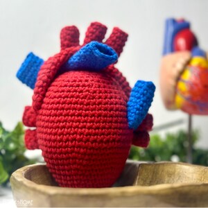 May include: A crocheted anatomical heart model featuring a textured red yarn body with prominent blue yarn vessels attached to the top and sides. The handcrafted textile sculpture mimics the structure of a human heart with distinct chambers.