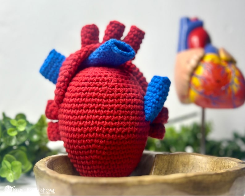 May include: A crocheted anatomical heart model featuring a textured red yarn body with prominent blue yarn vessels attached to the top and sides. The handcrafted textile sculpture mimics the structure of a human heart with distinct chambers.