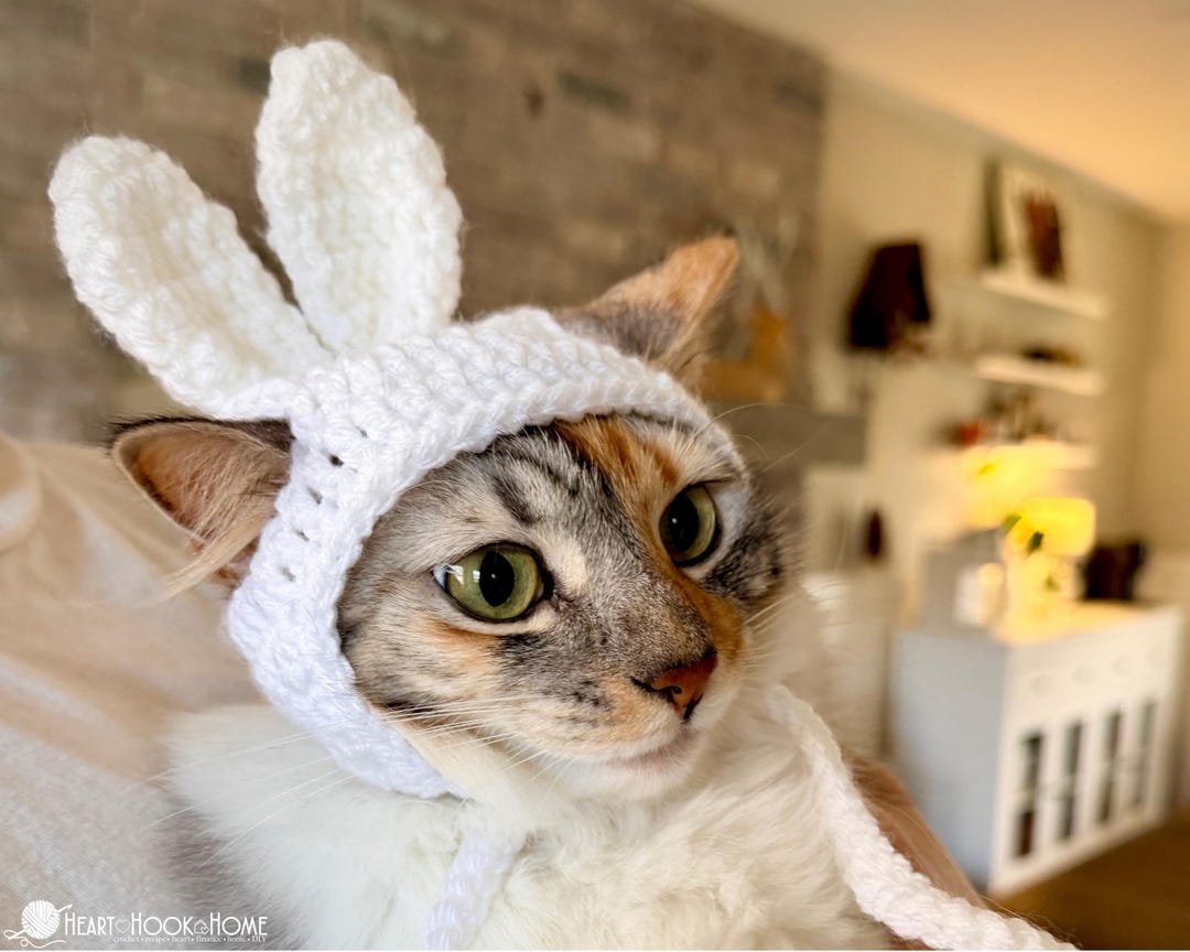 Bunny Ear Cat Hat Crochet Pattern – Easter Cat Costume – Cute Crochet ...