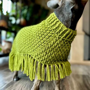 Easy Crochet Dog Poncho Pattern: XXS-2XL (PDF Pattern)
