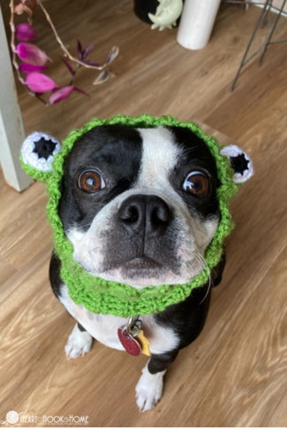 18 Dog Snood Crochet Patterns for Cozy, Cute, and Practical Pet Wear 2 Dog Snood Costumes Crochet