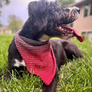 Pode incluir: Um c&atilde;o preto com uma mancha branca no peito usa uma bandana triangular de croch&eacute; que apresenta um gradiente de cor que transita do cinzento antracite escuro no topo para um vermelho vibrante na ponta. O texto Heart Hook Home &eacute; vis&iacute;vel.