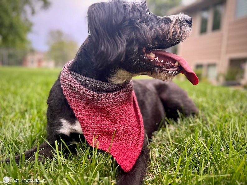 Pode incluir: Um c&atilde;o preto com uma mancha branca no peito usa uma bandana triangular de croch&eacute; que apresenta um gradiente de cor que transita do cinzento antracite escuro no topo para um vermelho vibrante na ponta. O texto Heart Hook Home &eacute; vis&iacute;vel.