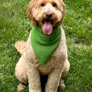 Pode incluir: Um c&atilde;o de cor castanho-dourada clara com pelo encaracolado usa uma bandana triangular de croch&eacute; verde brilhante &agrave; volta do pesco&ccedil;o. A bandana apresenta um padr&atilde;o de pontos texturado e pende at&eacute; ao peito. O texto Heart Hook Home &eacute; vis&iacute;vel na parte inferior.