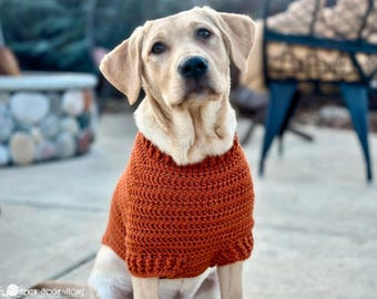 Patrón de crochet para suéter raglán para perros / XXS-2XL / Suéter fácil para perros