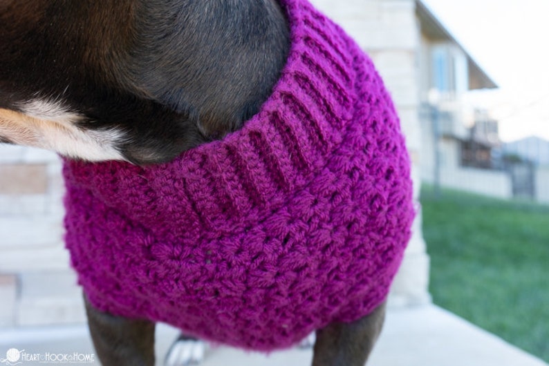 Stellar Dog Sweater image 7