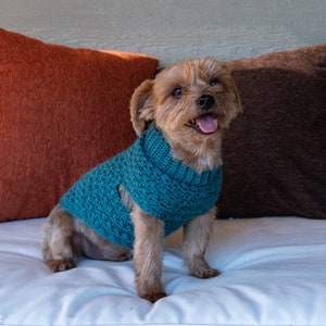 Stellar Dog Sweater image 4
