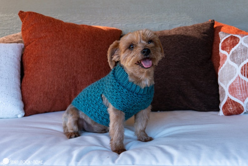 Stellar Dog Sweater image 4