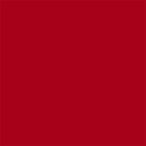027 Tomato | Northcott  9000-24 | Color Works