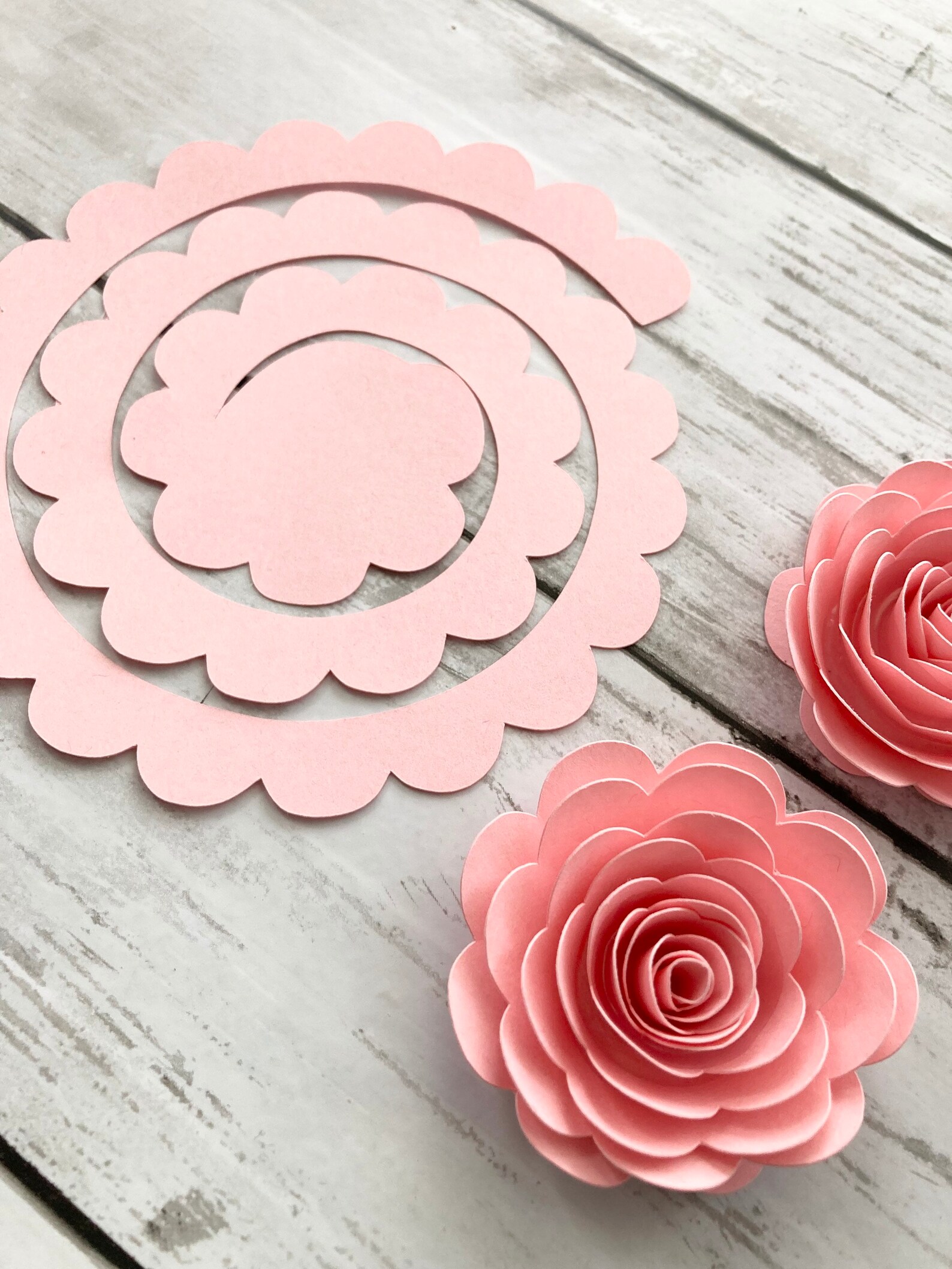 20 Pcs DIY Precut Paper Flowers Unrolled Precut Paper Etsy